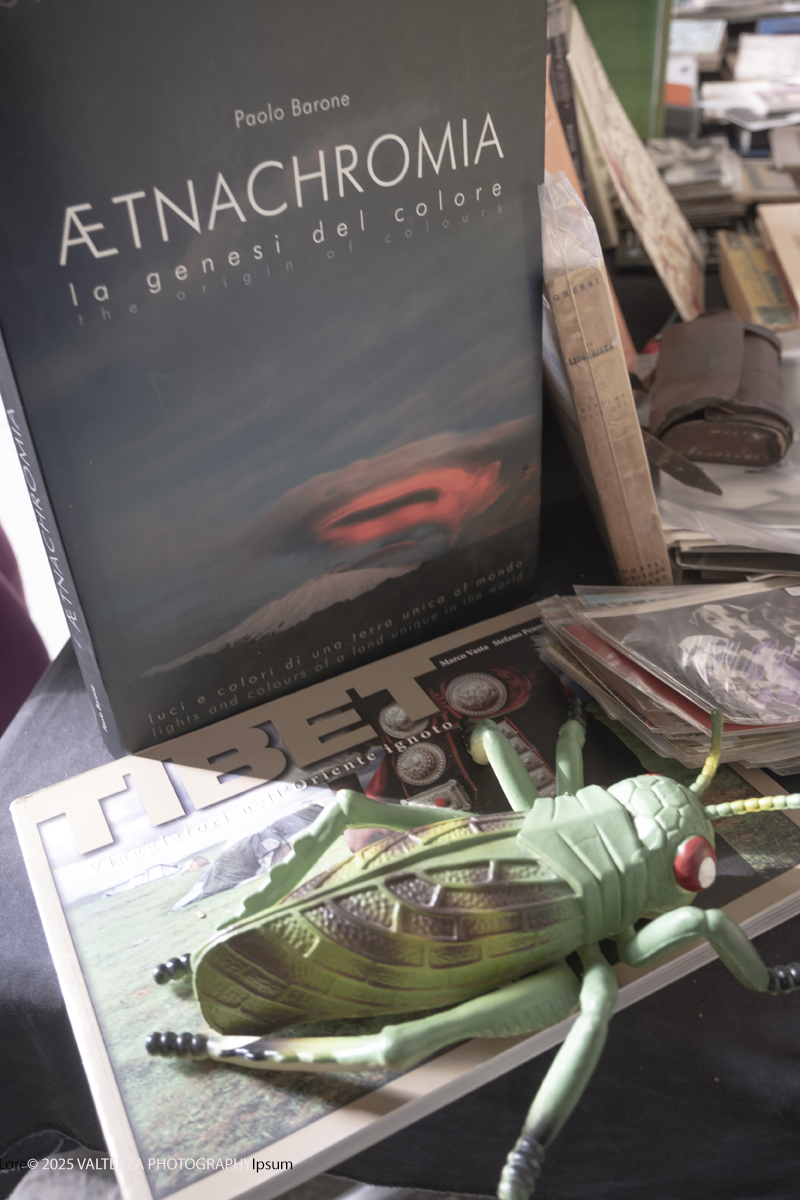 DSCF0135.jpg - 04/10/205. Torimo. Torino ha appena festeggiato il 18° compleanno di Portici di Carta, l'evento che da quasi due decenni trasforma il centro città in una grande libreria a cielo aperto ì, nella foto epositori e visitatori in Piazza Vittorio