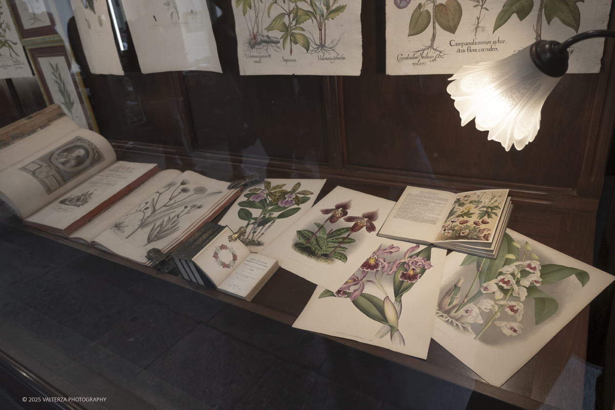 DSCF0314.jpg - 04/10/205. Torimo. Torino ha appena festeggiato il 18° compleanno di Portici di Carta, l'evento che da quasi due decenni trasforma il centro città in una grande libreria a cielo aperto ì, nella foto epositori e visitatorei in via PO