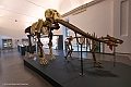 _DSF0641
