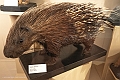 _DSF0913