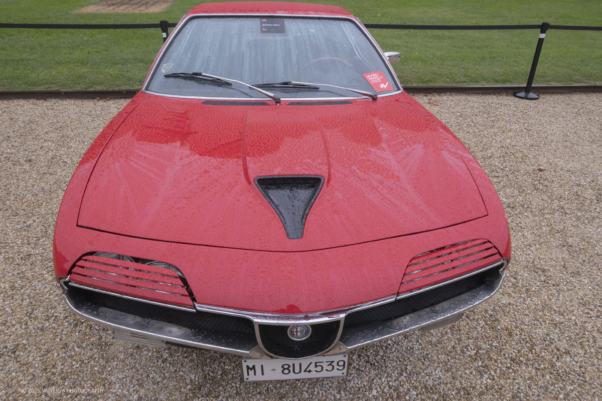 _DSF1651.jpg - 26/09/2025.Torino inaugurata l'edizione 2025 del Salone dell'auto di Torino. Nella foto una delle aree espositive di giardini reali dedicata a vetture prestigiose di privati e modelli one off