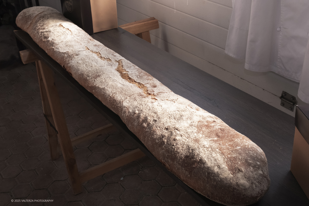 _DSF5945.jpg - 08-09/11/2025. Moncalieri.  L'evento si pone lâ€™obiettivo di promuovere la cultura del pane locale e delle sue tradizioni e di valorizzare le eccellenze della filiera piemontese, creando sinergie tra produttori, artigiani e consumatori.