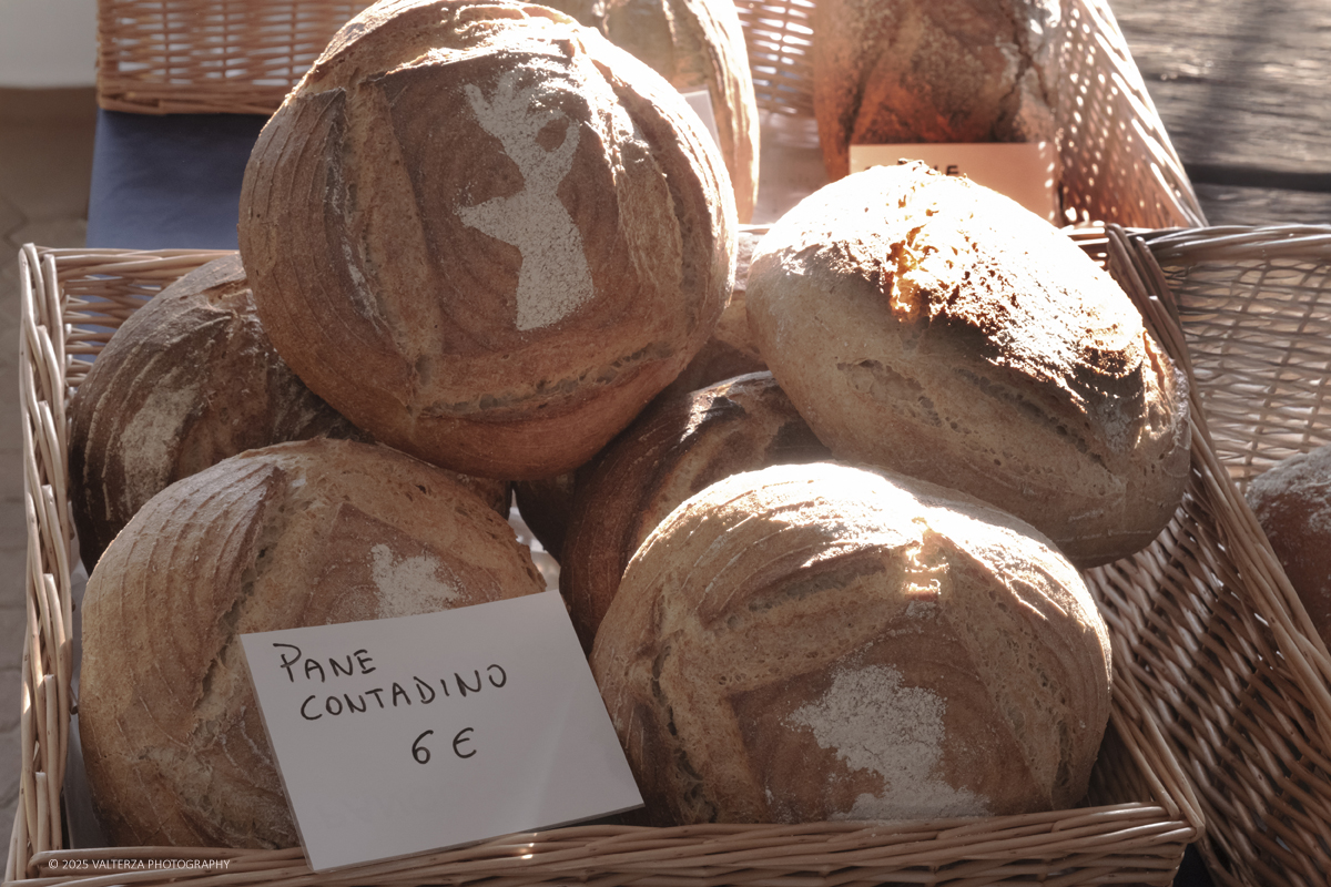 _DSF5969.jpg - 08-09/11/2025. Moncalieri.  L'evento si pone lâ€™obiettivo di promuovere la cultura del pane locale e delle sue tradizioni e di valorizzare le eccellenze della filiera piemontese, creando sinergie tra produttori, artigiani e consumatori.