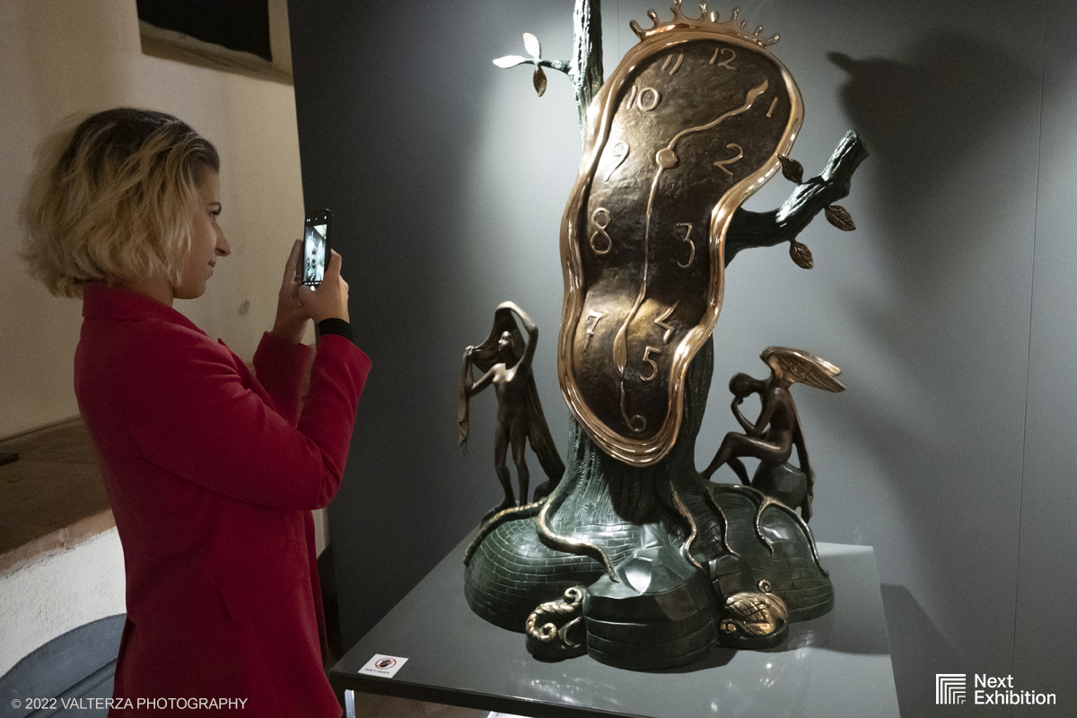 _DSF6882.jpg - 11/11/2022. Torino . Nelle antiche cucine della Palazzina di Caccia di Stupinigi dal 12 novembre 2022 al 19 febbraio 2023 il pubblico potrÃ  ammirare una mostra unica nel suo genere,  che espone diversi aspetti della produzione artistica di DalÃ­. Nella foto in visita alla mostra