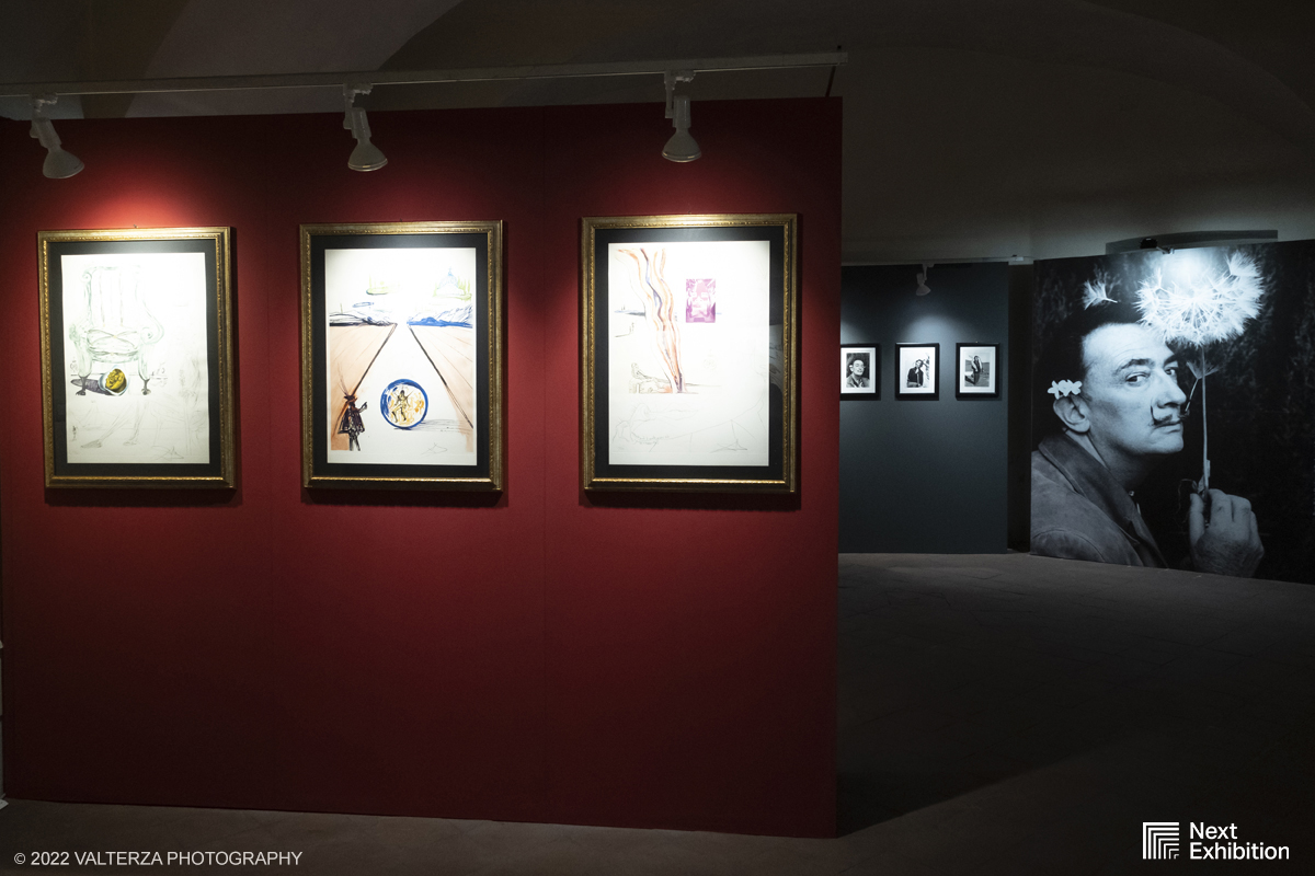 _DSF6894.jpg - 11/11/2022. Torino . Nelle antiche cucine della Palazzina di Caccia di Stupinigi dal 12 novembre 2022 al 19 febbraio 2023 il pubblico potrÃ  ammirare una mostra unica nel suo genere,  che espone diversi aspetti della produzione artistica di DalÃ­. Nella foto parte dell'allestimento della mostra