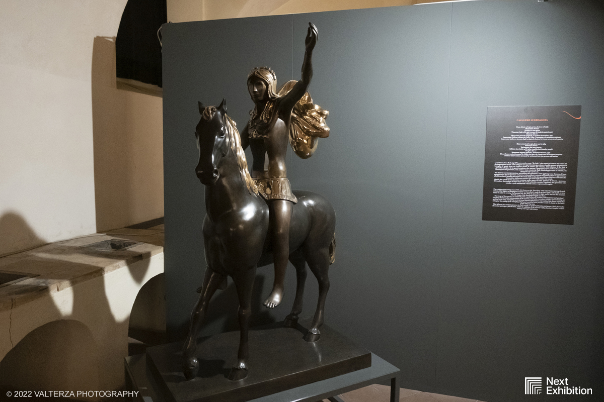 _DSF6900.jpg - 11/11/2022. Torino . Nelle antiche cucine della Palazzina di Caccia di Stupinigi dal 12 novembre 2022 al 19 febbraio 2023 il pubblico potrÃ  ammirare una mostra unica nel suo genere,  che espone diversi aspetti della produzione artistica di DalÃ­. Nella foto l'opera Cavaliere surrealista, statua in bronzo 1984