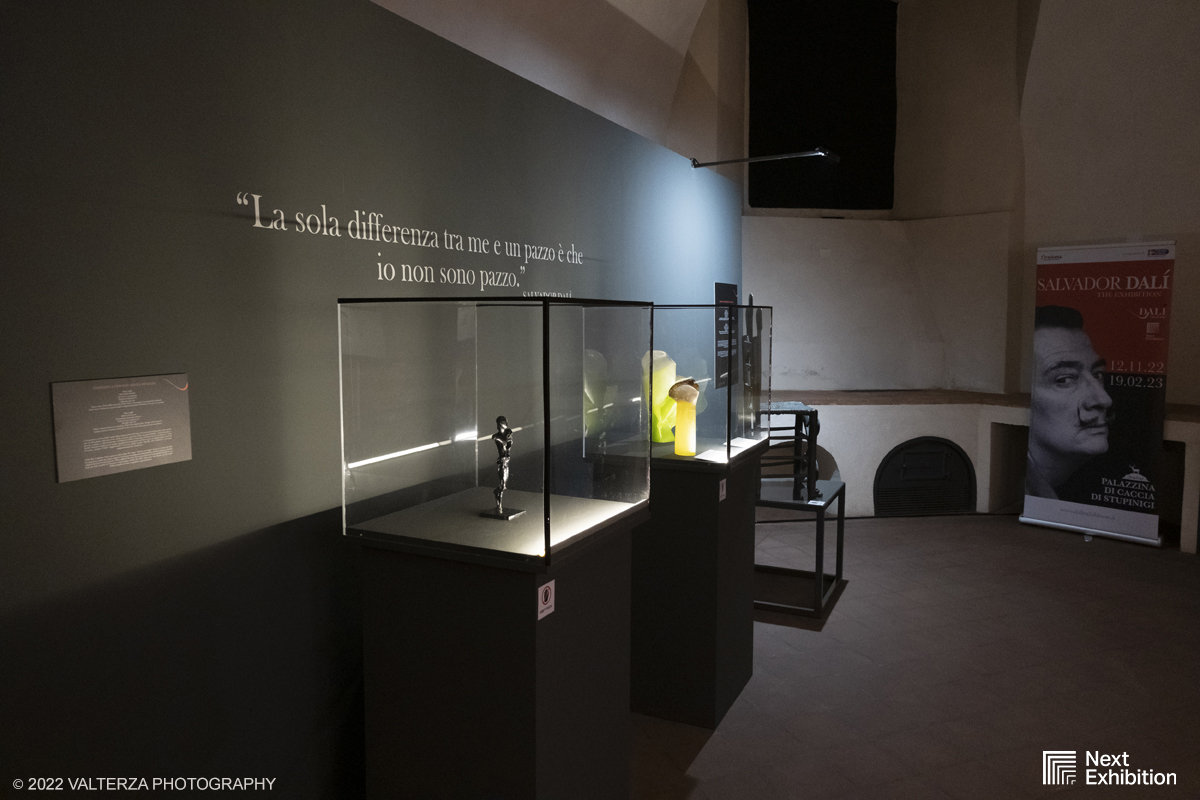 _DSF6943.jpg - 11/11/2022. Torino . Nelle antiche cucine della Palazzina di Caccia di Stupinigi dal 12 novembre 2022 al 19 febbraio 2023 il pubblico potrÃ  ammirare una mostra unica nel suo genere,  che espone diversi aspetti della produzione artistica di DalÃ­. Nella foto parte dell'allestimento della mostra