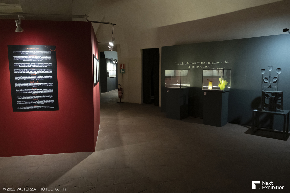 _DSF6966.jpg - 11/11/2022. Torino . Nelle antiche cucine della Palazzina di Caccia di Stupinigi dal 12 novembre 2022 al 19 febbraio 2023 il pubblico potrÃ  ammirare una mostra unica nel suo genere,  che espone diversi aspetti della produzione artistica di DalÃ­. Nella foto parte dell'allestimento della mostra