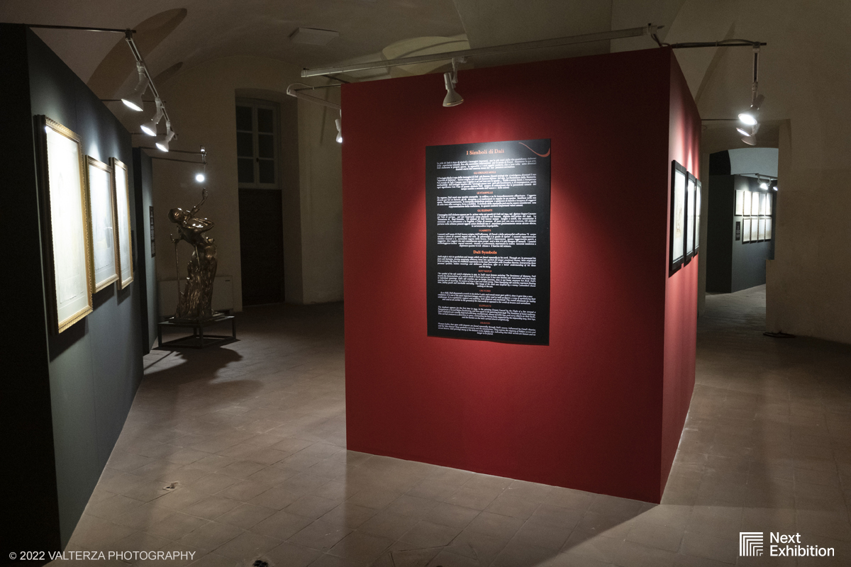 _DSF6969.jpg - 11/11/2022. Torino . Nelle antiche cucine della Palazzina di Caccia di Stupinigi dal 12 novembre 2022 al 19 febbraio 2023 il pubblico potrÃ  ammirare una mostra unica nel suo genere,  che espone diversi aspetti della produzione artistica di DalÃ­. Nella foto parte dell'allestimento della mostra