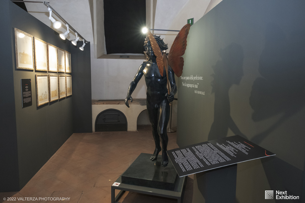 _DSF6972.jpg - 11/11/2022. Torino . Nelle antiche cucine della Palazzina di Caccia di Stupinigi dal 12 novembre 2022 al 19 febbraio 2023 il pubblico potrÃ  ammirare una mostra unica nel suo genere,  che espone diversi aspetti della produzione artistica di DalÃ­. Nella foto parte dell'allestimento della mostra