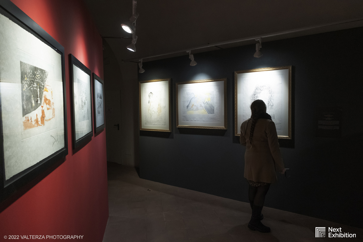 _DSF7172.jpg - 11/11/2022. Torino . Nelle antiche cucine della Palazzina di Caccia di Stupinigi dal 12 novembre 2022 al 19 febbraio 2023 il pubblico potrÃ  ammirare una mostra unica nel suo genere,  che espone diversi aspetti della produzione artistica di DalÃ­. Nella foto parte dell'allestimento della mostra