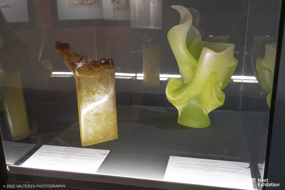 _DSF7200.jpg - 11/11/2022. Torino . Nelle antiche cucine della Palazzina di Caccia di Stupinigi dal 12 novembre 2022 al 19 febbraio 2023 il pubblico potrÃ  ammirare una mostra unica nel suo genere,  che espone diversi aspetti della produzione artistica di DalÃ­. Nella foto opere la Mano divina ed Anti-fleur