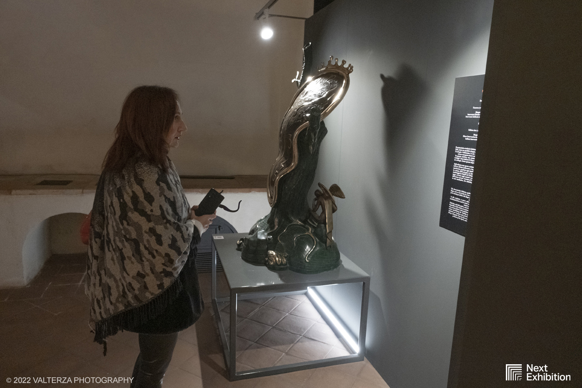 _DSF7277.jpg - 11/11/2022. Torino . Nelle antiche cucine della Palazzina di Caccia di Stupinigi dal 12 novembre 2022 al 19 febbraio 2023 il pubblico potrÃ  ammirare una mostra unica nel suo genere,  che espone diversi aspetti della produzione artistica di DalÃ­. Nella foto in visita alla mostra