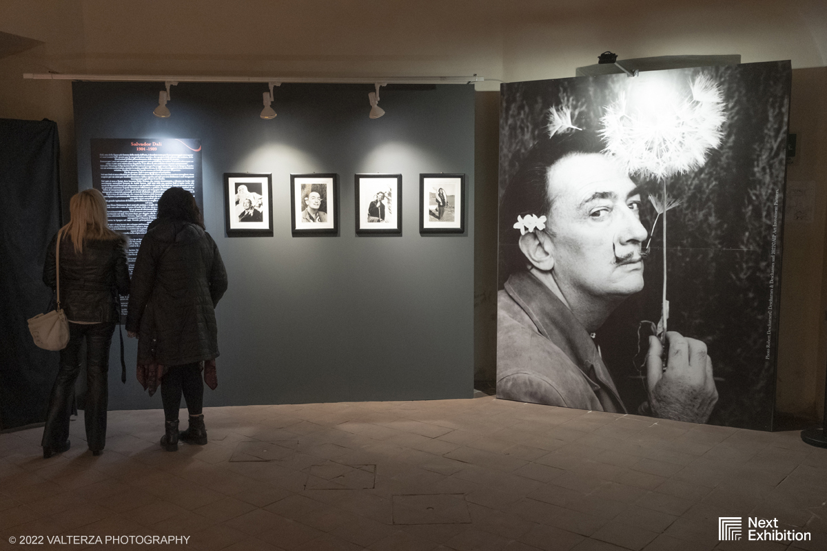 _DSF7289.jpg - 11/11/2022. Torino . Nelle antiche cucine della Palazzina di Caccia di Stupinigi dal 12 novembre 2022 al 19 febbraio 2023 il pubblico potrÃ  ammirare una mostra unica nel suo genere,  che espone diversi aspetti della produzione artistica di DalÃ­. Nella foto in visita alla mostra