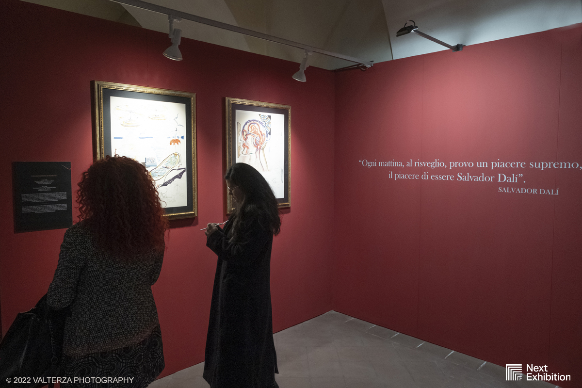 _DSF7294.jpg - 11/11/2022. Torino . Nelle antiche cucine della Palazzina di Caccia di Stupinigi dal 12 novembre 2022 al 19 febbraio 2023 il pubblico potrÃ  ammirare una mostra unica nel suo genere,  che espone diversi aspetti della produzione artistica di DalÃ­. Nella foto in visita alla mostra