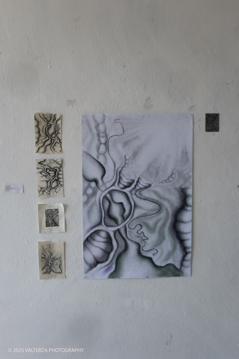 DSCF0015.jpg - 07/07/2025. Torino. Ritorna la Summer Exhibition allâ€™Albertina con il talento dei giovani artisti dellâ€™Accademia. Nella foto parte dell'allestimento