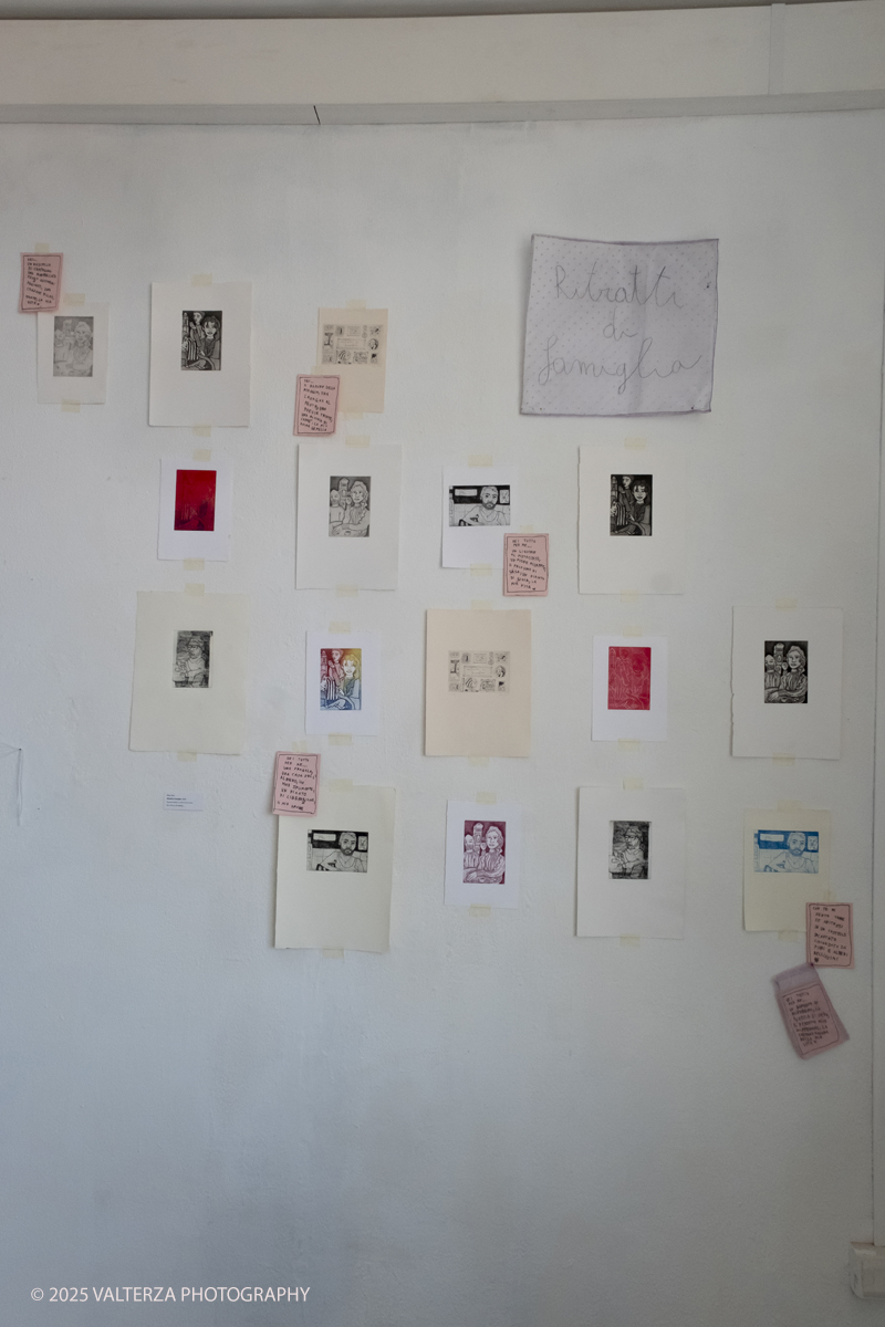 DSCF0049.jpg - 07/07/2025. Torino. Ritorna la Summer Exhibition allâ€™Albertina con il talento dei giovani artisti dellâ€™Accademia. Nella foto opera di Elisa Ripa, Ritratti di Famiglia 2025