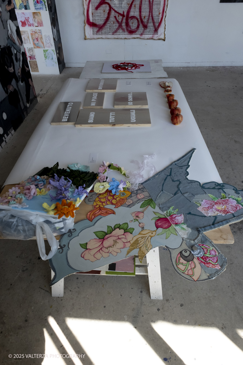 DSCF0084.jpg - 07/07/2025. Torino. Ritorna la Summer Exhibition allâ€™Albertina con il talento dei giovani artisti dellâ€™Accademia. Hella foto parte dell'allestimeento della mostra