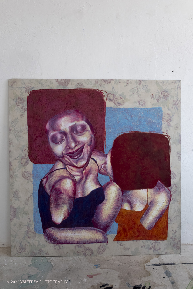 DSCF0107.jpg - 07/07/2025. Torino. Ritorna la Summer Exhibition allâ€™Albertina con il talento dei giovani artisti dellâ€™Accademia.  Nella foto opera di Dina Anzalone, Fiato dell'aanima mia 2025