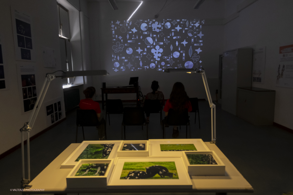 DSCF0189.jpg - 07/07/2025. Torino. Ritorna la Summer Exhibition allâ€™Albertina con il talento dei giovani artisti dellâ€™Accademia. Opere delle allieve del corso di museologia del contemporaneo,  Segni Sensibili: esplorazioni tra arte e interattivitÃ ; Quando finisce la notte