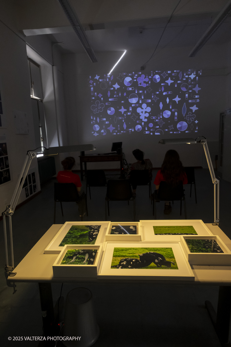 DSCF0194.jpg - 07/07/2025. Torino. Ritorna la Summer Exhibition allâ€™Albertina con il talento dei giovani artisti dellâ€™Accademia. Opere delle allieve del corso di museologia del contemporaneo,  Segni Sensibili: esplorazioni tra arte e interattivitÃ ; Quando finisce la notte