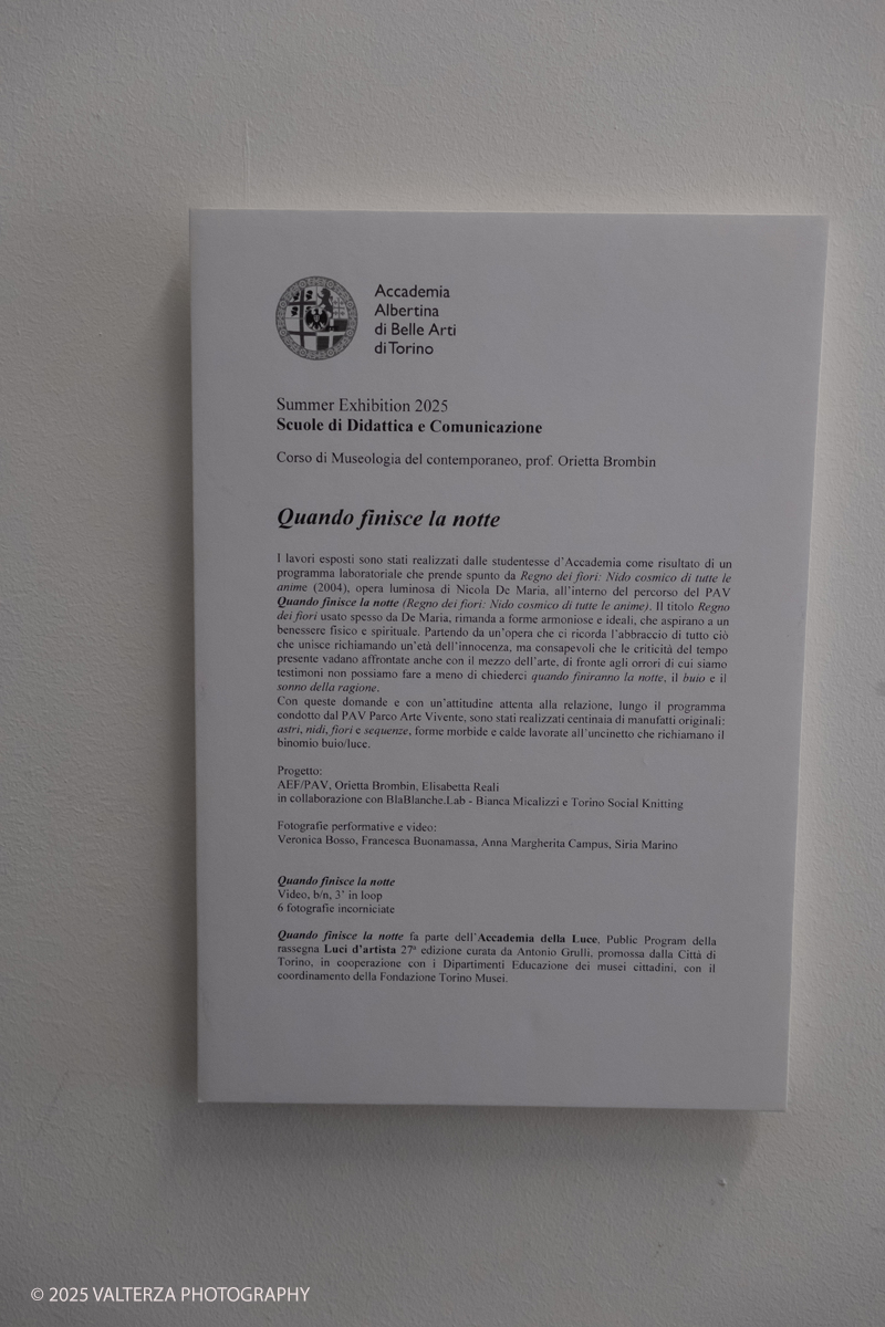DSCF0203.jpg - 07/07/2025. Torino. Ritorna la Summer Exhibition allâ€™Albertina con il talento dei giovani artisti dellâ€™Accademia. Opere delle allieve del corso di museologia del contemporaneo,   Quando finisce la notte  2025