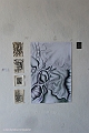 DSCF0015