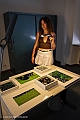 DSCF0209