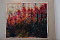 DSCF0299