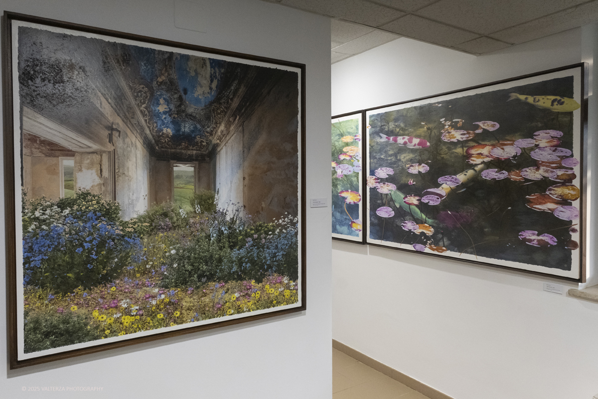 DSCF0007.jpg - 30/10/2025- 01/11/2025/Torino/ The Others Ã¨ una fiera indipendente nata con l'obiettivo di intercettare il linguaggio delle nuove generazioni creative e promuovere le realtÃ  emergenti. Nella foto Galleria A. More Gallery Milano