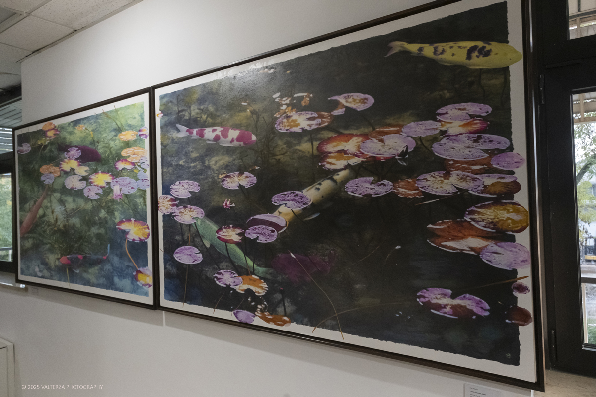 DSCF0009.jpg - 30/10/2025- 01/11/2025/Torino/ The Others Ã¨ una fiera indipendente nata con l'obiettivo di intercettare il linguaggio delle nuove generazioni creative e promuovere le realtÃ  emergenti. Nella foto Galleria A. More Gallery Milano