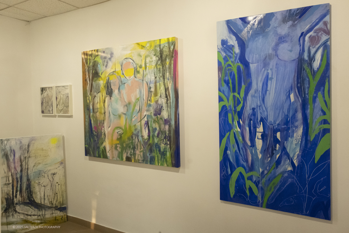 DSCF0114.jpg - 30/10/2025- 01/11/2025/Torino/ The Others Ã¨ una fiera indipendente nata con l'obiettivo di intercettare il linguaggio delle nuove generazioni creative e  promuovere le realtÃ  emergenti.  Galleria Rana rossa 3.0 Modena