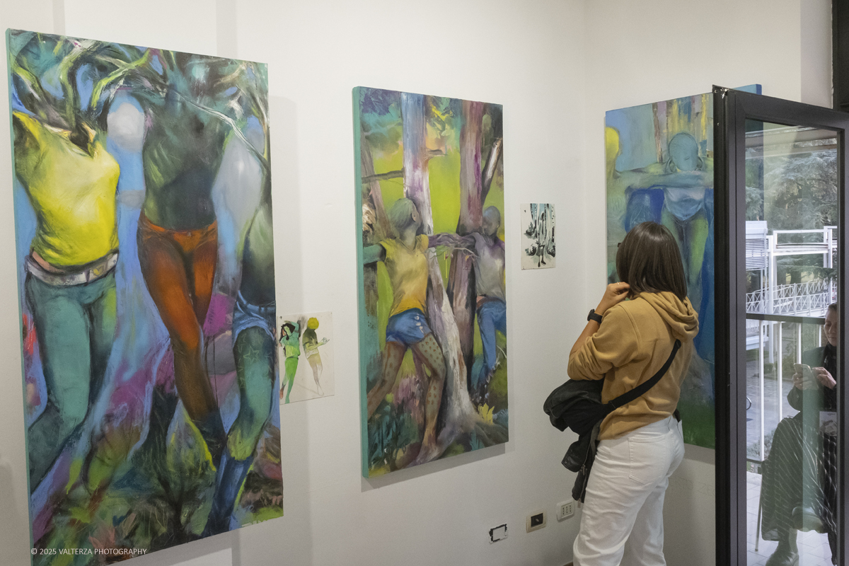 DSCF0125.jpg - 30/10/2025- 01/11/2025/Torino/ The Others Ã¨ una fiera indipendente nata con l'obiettivo di intercettare il linguaggio delle nuove generazioni creative e promuovere le realtÃ  emergenti. Nella foto Galleria Rana rossa 3.,0 Modena