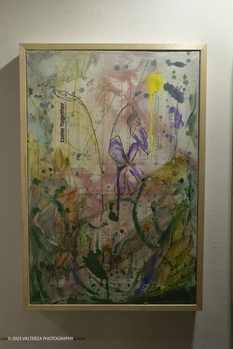 DSCF0126.jpg - 30/10/2025- 01/11/2025/Torino/ The Others Ã¨ una fiera indipendente nata con l'obiettivo di intercettare il linguaggio delle nuove generazioni creative e promuovere le realtÃ  emergenti. Nella foto Galleria Rana rossa 3.,0 Modena