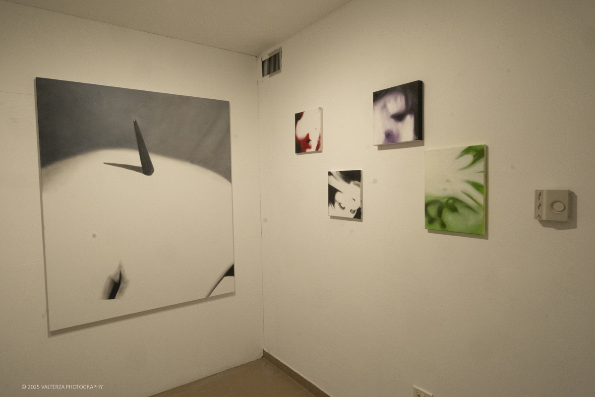 _DSF4737.jpg - 30/10/2025- 01/11/2025/Torino/ The Others Ã¨ una fiera indipendente nata con l'obiettivo di intercettare il linguaggio delle nuove generazioni creative e promuovere le realtÃ  emergenti. Nella foto Contour Art Gallery, Vilnius Lituania