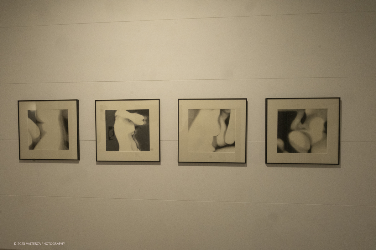 _DSF4741.jpg - 30/10/2025- 01/11/2025/Torino/ The Others Ã¨ una fiera indipendente nata con l'obiettivo di intercettare il linguaggio delle nuove generazioni creative e promuovere le realtÃ  emergenti. Nella foto Contour Art Gallery, Vilnius Lituania