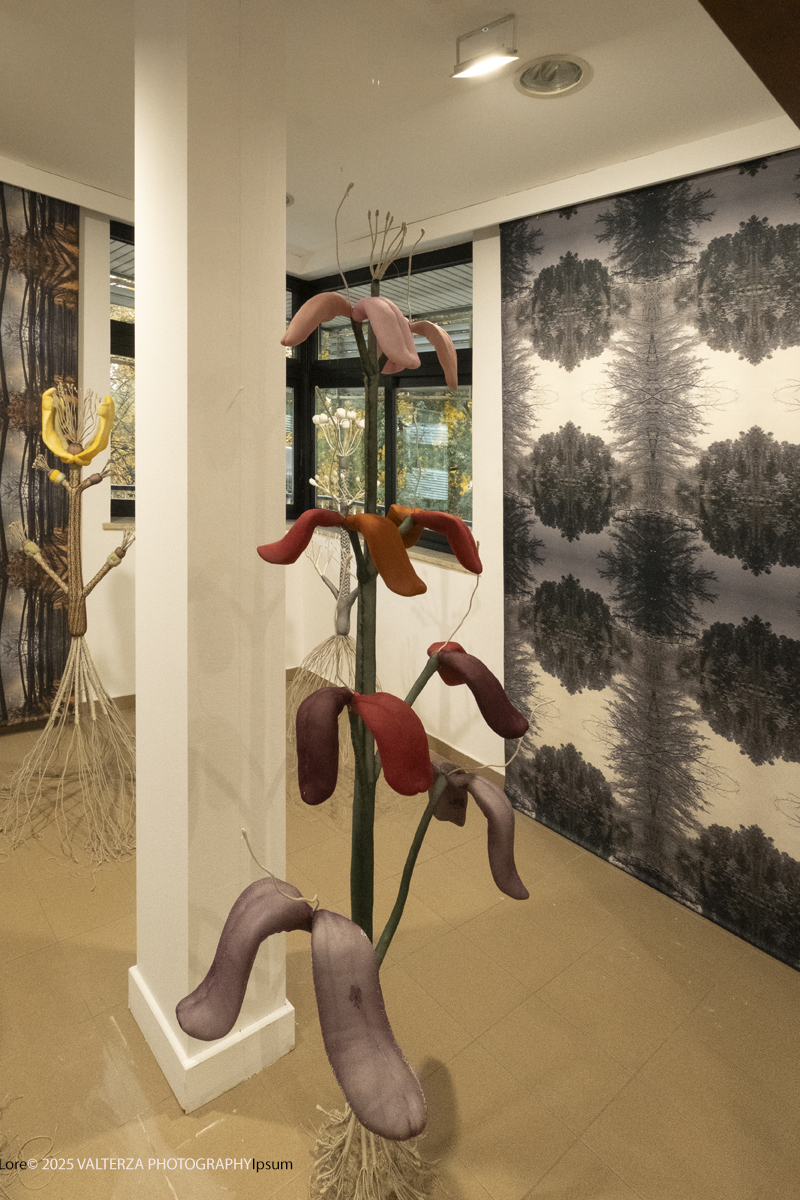 _DSF4758.jpg - 30/10/2025- 01/11/2025/Torino/ The Others Ã¨ una fiera indipendente nata con l'obiettivo di intercettare il linguaggio delle nuove generazioni creative e promuovere le realtÃ  emergenti. Nella foto Contour Art Gallery, Vilnius Lituania