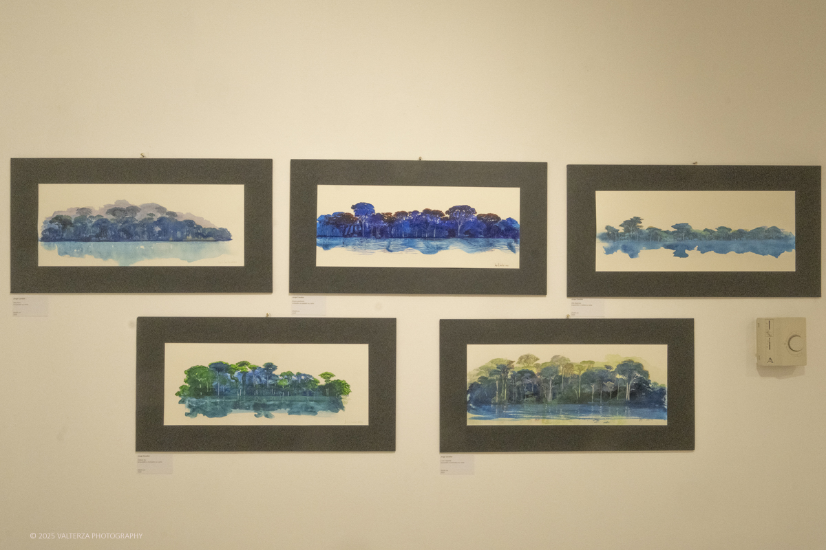 _DSF4770.jpg - 30/10/2025- 01/11/2025/Torino/ The Others Ã¨ una fiera indipendente nata con l'obiettivo di intercettare il linguaggio delle nuove generazioni creative e promuovere le realtÃ  emergenti. Nella foto La galleria MA-EC Galleri Milano