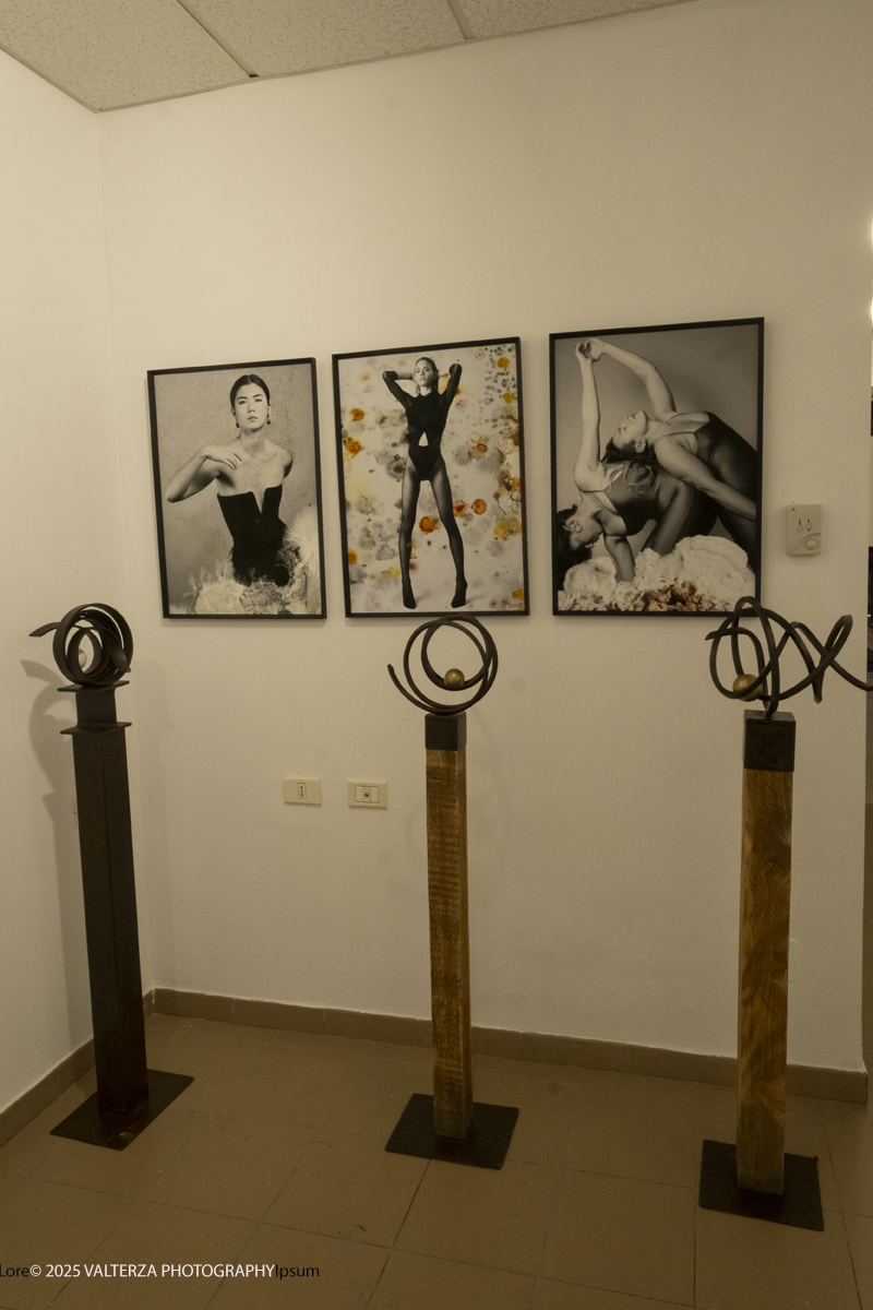 _DSF4843.jpg - 30/10/2025- 01/11/2025/Torino/ The Others Ã¨ una fiera indipendente nata con l'obiettivo di intercettare il linguaggio delle nuove generazioni creative e promuovere le realtÃ  emergenti. Nella foto Galleria Roccavintage Torino