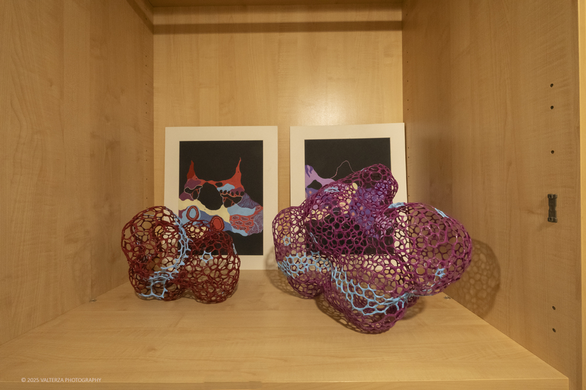 _DSF4921.jpg - 30/10/2025- 01/11/2025/Torino/ The Others Ã¨ una fiera indipendente nata con l'obiettivo di intercettare il linguaggio delle nuove generazioni creative e promuovere le realtÃ  emergenti. Nella foto galleria Boa Spazio Arte Bologna