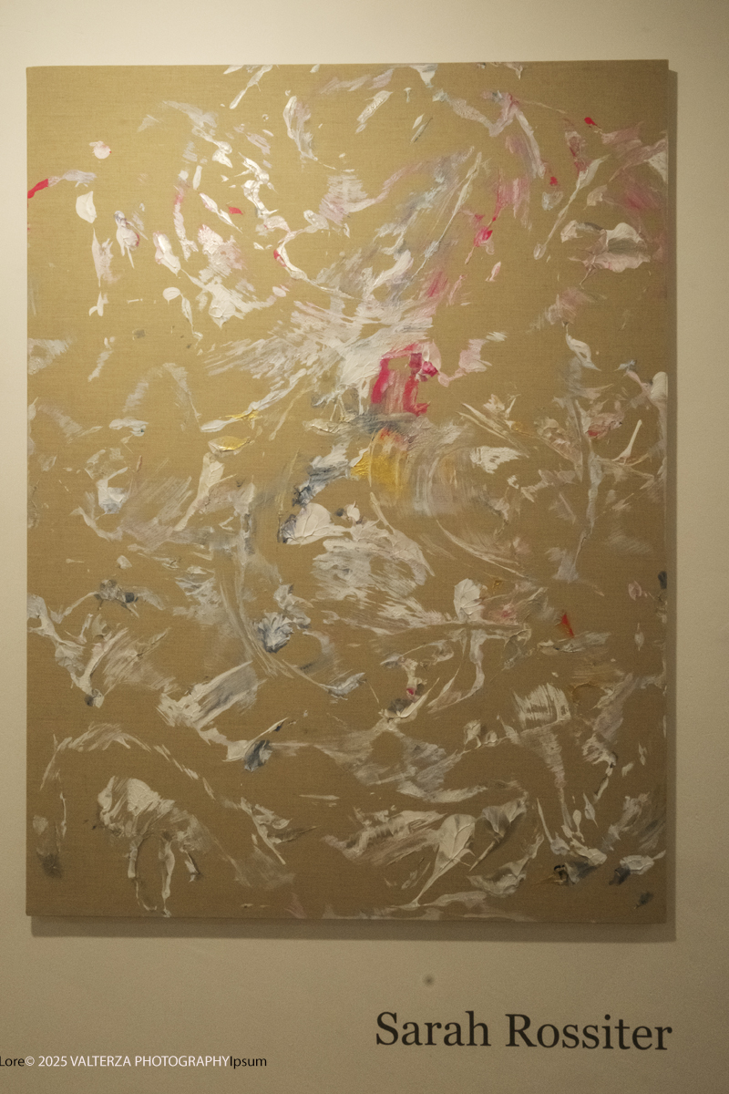 _DSF5017.jpg - 30/10/2025- 01/11/2025/Torino/ The Others Ã¨ una fiera indipendente nata con l'obiettivo di intercettare il linguaggio delle nuove generazioni creative e promuovere le realtÃ  emergenti. Nella foto Galleria Febo e Dafne Torino