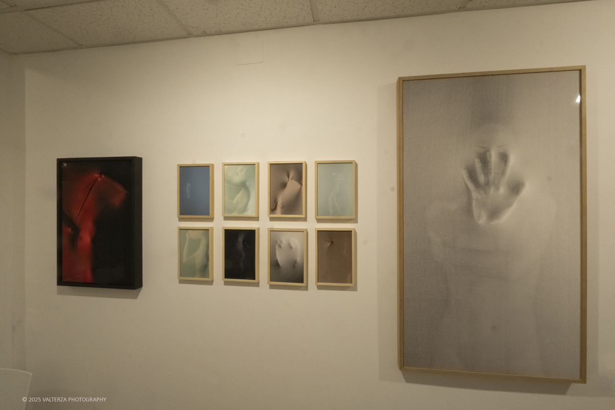 _DSF5021.jpg - 30/10/2025- 01/11/2025/Torino/ The Others Ã¨ una fiera indipendente nata con l'obiettivo di intercettare il linguaggio delle nuove generazioni creative e promuovere le realtÃ  emergenti. Nella foto Galleria Febo e Dafne Torino