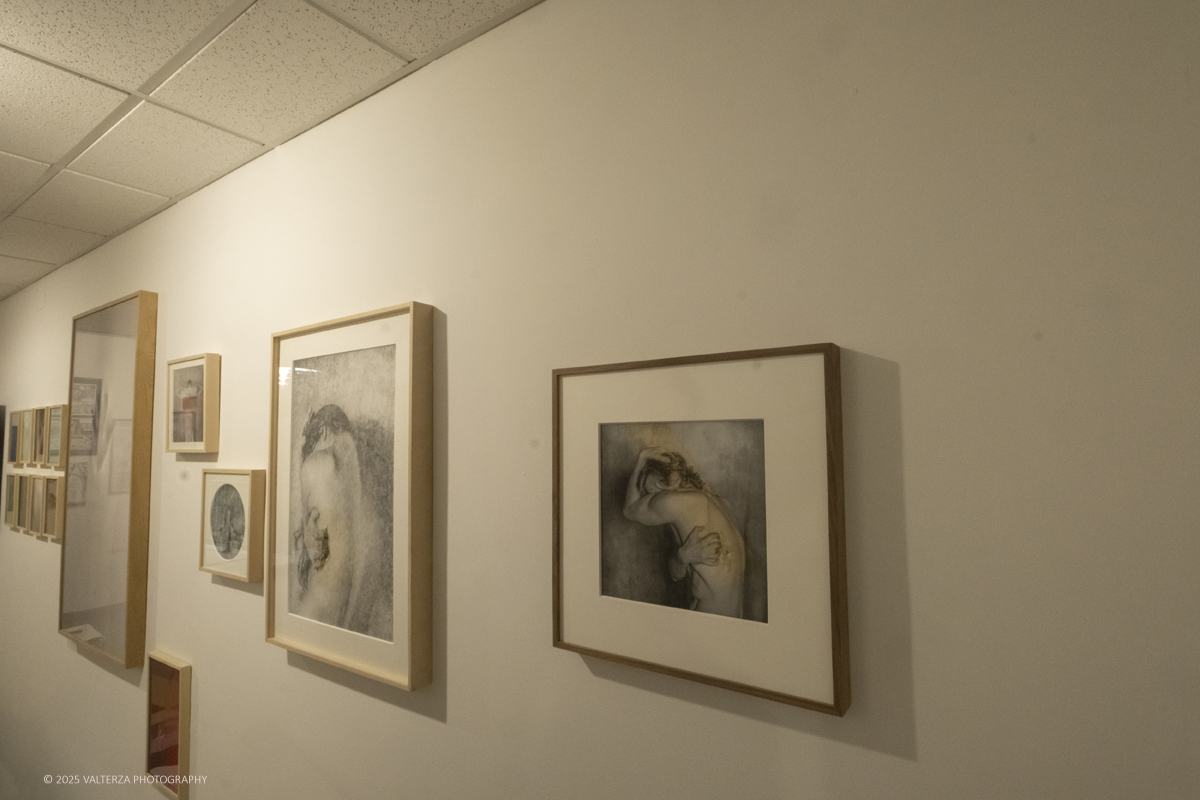 _DSF5023.jpg - 30/10/2025- 01/11/2025/Torino/ The Others Ã¨ una fiera indipendente nata con l'obiettivo di intercettare il linguaggio delle nuove generazioni creative e promuovere le realtÃ  emergenti. Nella foto Galleria Febo e Dafne Torino