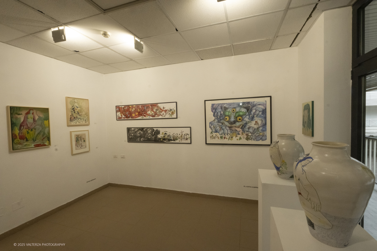 _DSF5052.jpg - 30/10/2025- 01/11/2025/Torino/ The Others Ã¨ una fiera indipendente nata con l'obiettivo di intercettare il linguaggio delle nuove generazioni creative e promuovere le realtÃ  emergenti. Nella foto Galleria Antonio Colombo Arte Contempotanea