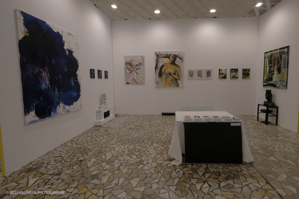 _DSF9507.jpg - 02/11/2023. Torino.Dodicesima edizione per la fiera che  mette in relazione il pubblico con artist run space e spazi no profit. Lâ€™allestimento, con i nomi delle costellazioni, ospita 70 mostre, performance live e unâ€™arena talk. Nella foto la galleria FLAT GALLERY, Bratislava (SK)