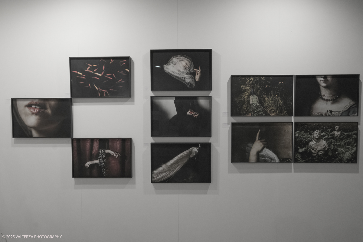 _DSF7011.jpg - 09/'5/2025. Torino. Appuntamento annuale dedicato alla fotografia.The Phair si rivolge ad alcune delle piÃ¹ prestigiose gallerie dâ€™arte contemporanea â€“ e non necessariamente solo a quelle specializzate in fotografia â€“ che, in occasione della fiera, presentano dei progetti artistici legati al tema dellâ€™immagine e opere create con materiale fotografico o video.â€‹ Nella foto ALESSIA PALADINI GALLERYMilano