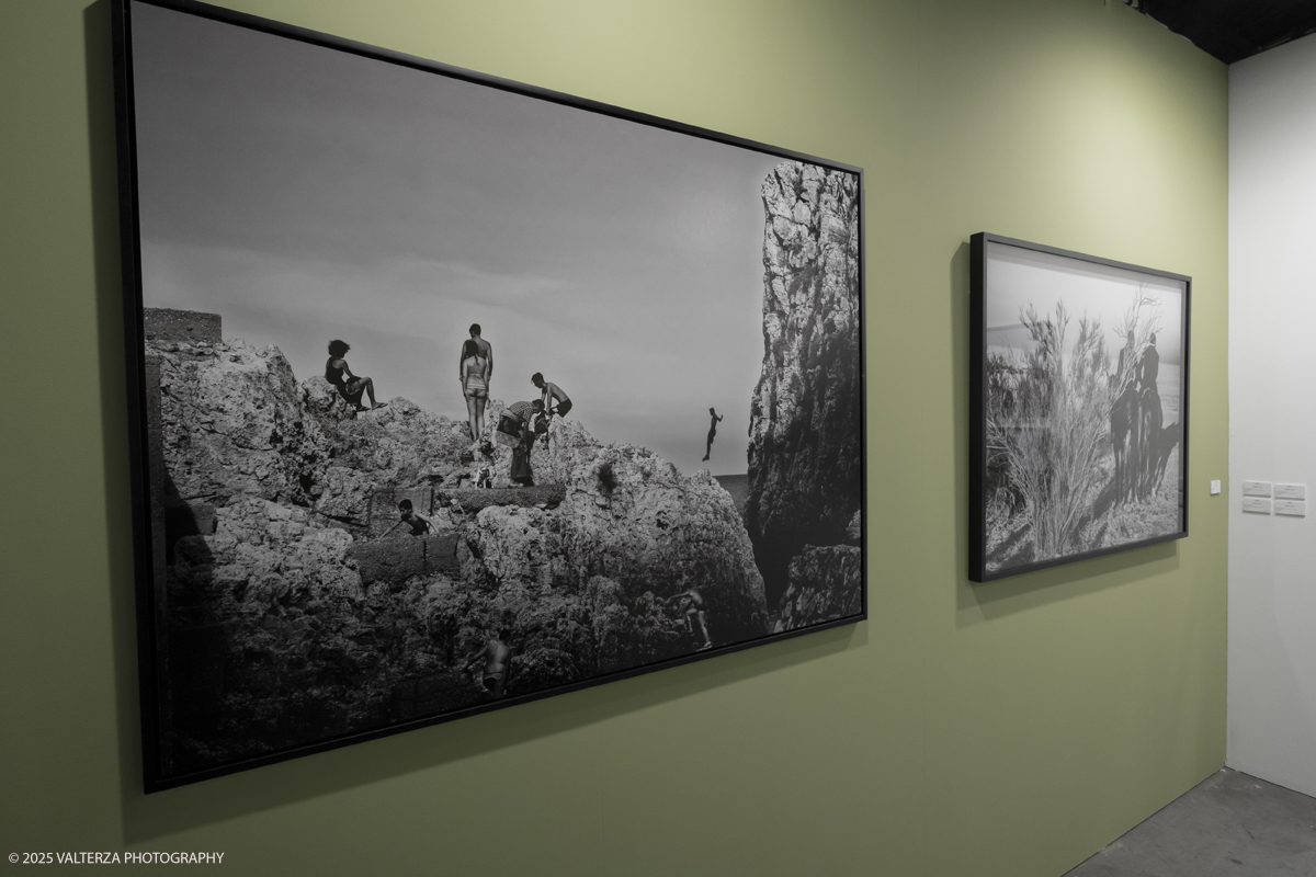 _DSF7074.jpg - 09/'5/2025. Torino. Appuntamento annuale dedicato alla fotografia.The Phair si rivolge ad alcune delle piÃ¹ prestigiose gallerie dâ€™arte contemporanea â€“ e non necessariamente solo a quelle specializzate in fotografia â€“ che, in occasione della fiera, presentano dei progetti artistici legati al tema dellâ€™immagine e opere create con materiale fotografico o video.â€‹ Nella foto GALLERIA FORNIBologna