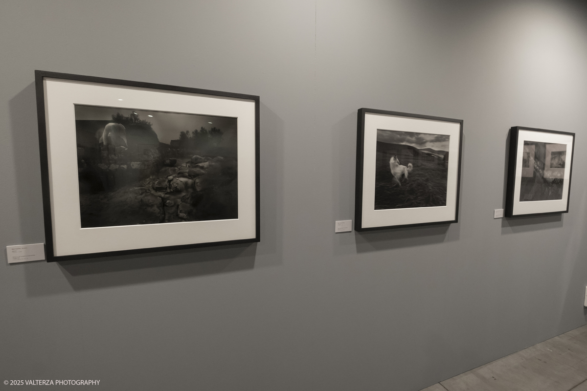 _DSF7232.jpg - 09/'5/2025. Torino. Appuntamento annuale dedicato alla fotografia.The Phair si rivolge ad alcune delle piÃ¹ prestigiose gallerie dâ€™arte contemporanea â€“ e non necessariamente solo a quelle specializzate in fotografia â€“ che, in occasione della fiera, presentano dei progetti artistici legati al tema dellâ€™immagine e opere create con materiale fotografico o video.â€‹ Nella foto  ALBERTO DAMIAN GALLERYTreviso