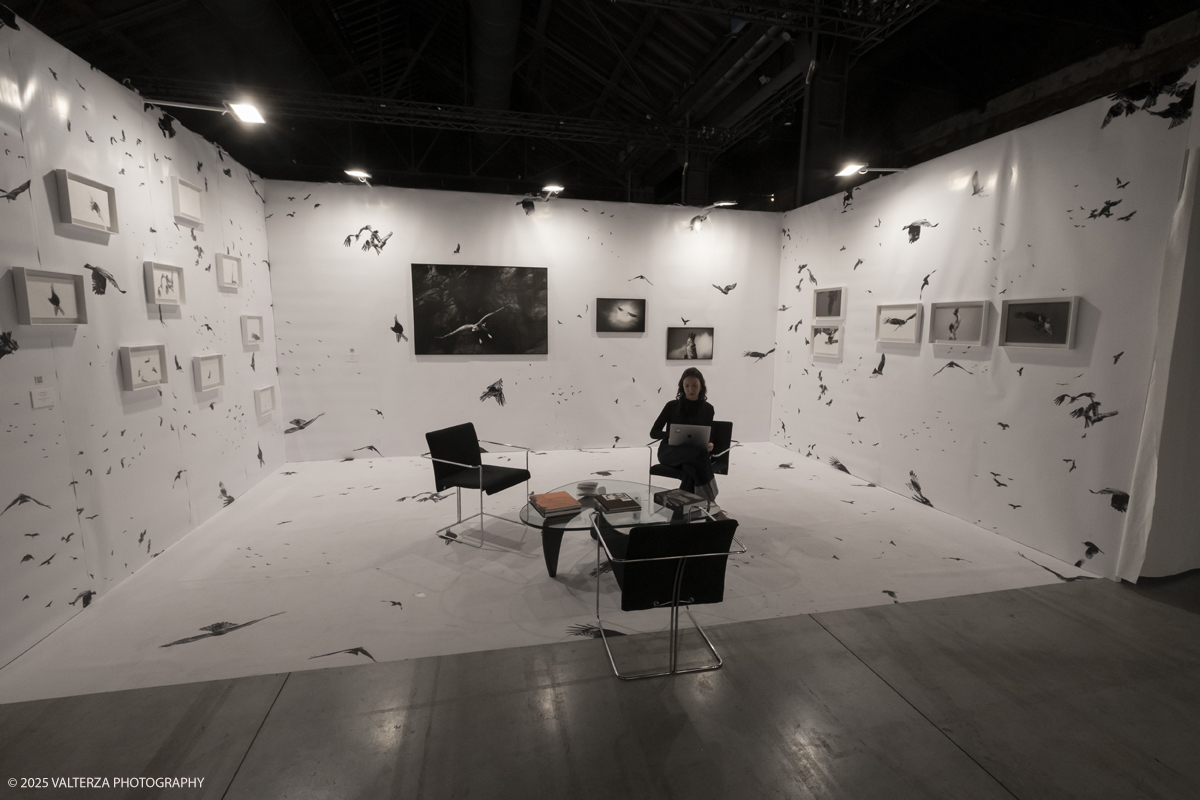_DSF7257.jpg - 09/'5/2025. Torino. Appuntamento annuale dedicato alla fotografia.The Phair si rivolge ad alcune delle piÃ¹ prestigiose gallerie dâ€™arte contemporanea â€“ e non necessariamente solo a quelle specializzate in fotografia â€“ che, in occasione della fiera, presentano dei progetti artistici legati al tema dellâ€™immagine e opere create con materiale fotografico o video.â€‹ Nella foto GALLERIA UMBERTO BENAPPITorino