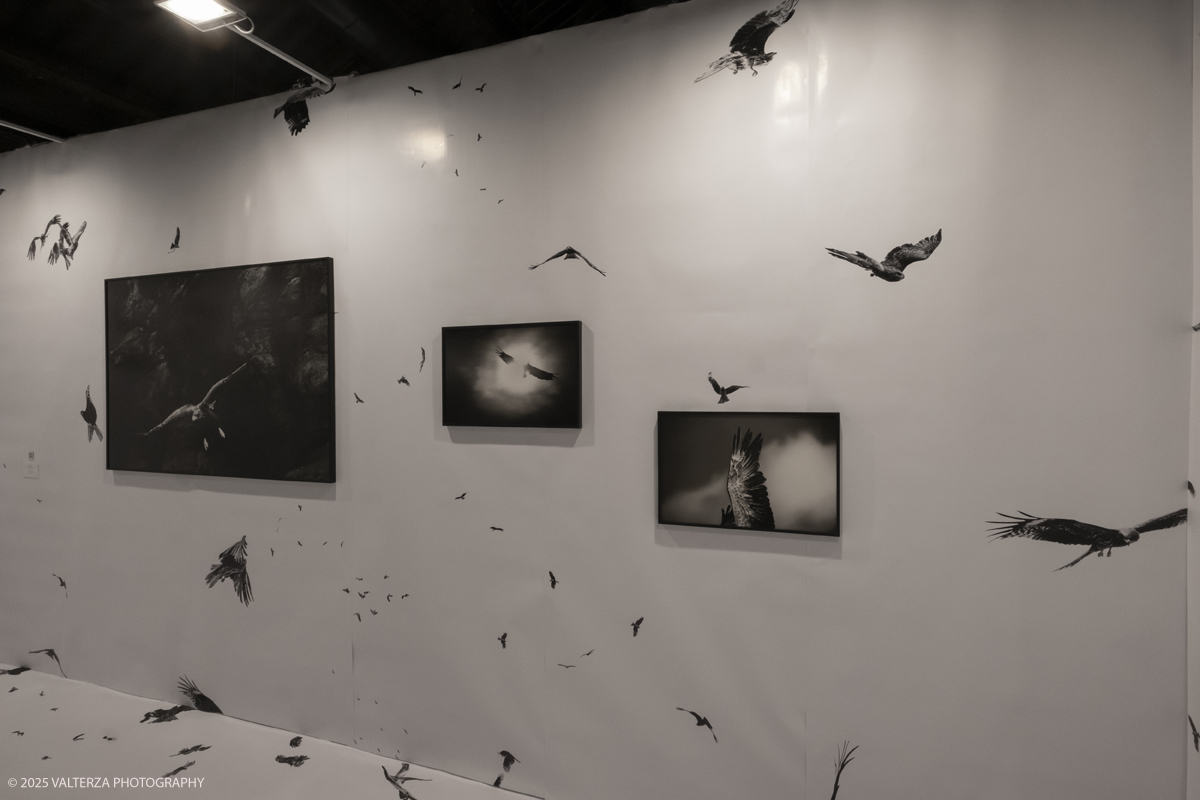 _DSF7258.jpg - 09/'5/2025. Torino. Appuntamento annuale dedicato alla fotografia.The Phair si rivolge ad alcune delle piÃ¹ prestigiose gallerie dâ€™arte contemporanea â€“ e non necessariamente solo a quelle specializzate in fotografia â€“ che, in occasione della fiera, presentano dei progetti artistici legati al tema dellâ€™immagine e opere create con materiale fotografico o video.â€‹ Nella foto GALLERIA UMBERTO BENAPPITorino
